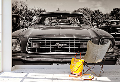 Fototapeta Auto Ford Mustang 1010